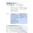 画像5: 送料無料　[ねぎ]　ふゆわらべ　2Lペレット5千粒　タキイ種苗 (5)