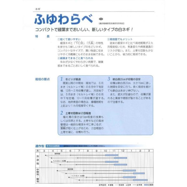 画像5: 送料無料 [ねぎ] ふゆわらべ ペレット種子5千粒 タキイ種苗 (5)