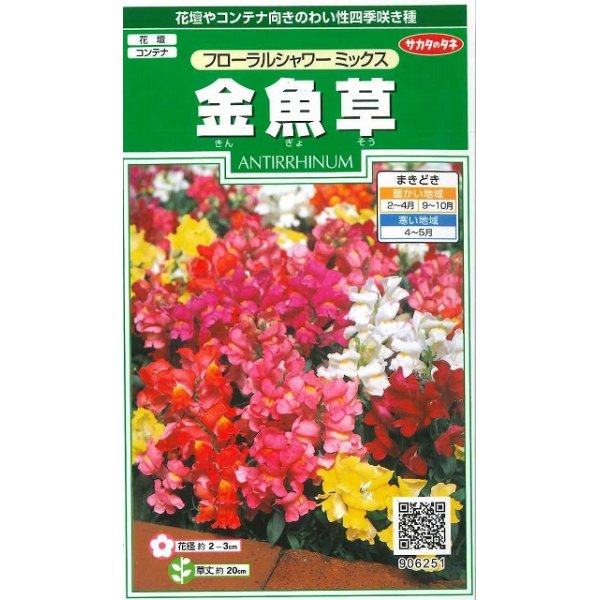 画像1: 花の種　金魚草　フローラルシャワーミックス　約86粒　サカタのタネ（株）実咲250 (1)