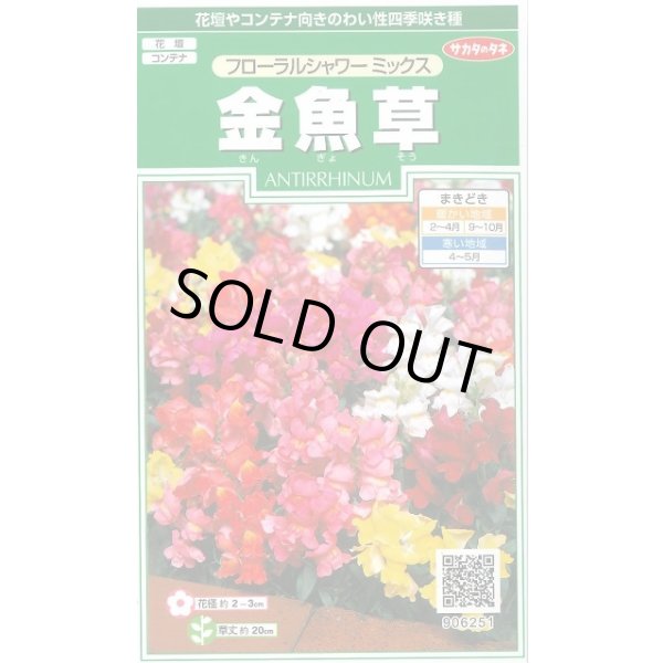 画像1: 送料無料　花の種　金魚草　フローラルシャワーミックス　約86粒　　(株)サカタのタネ　実咲250（026223） (1)