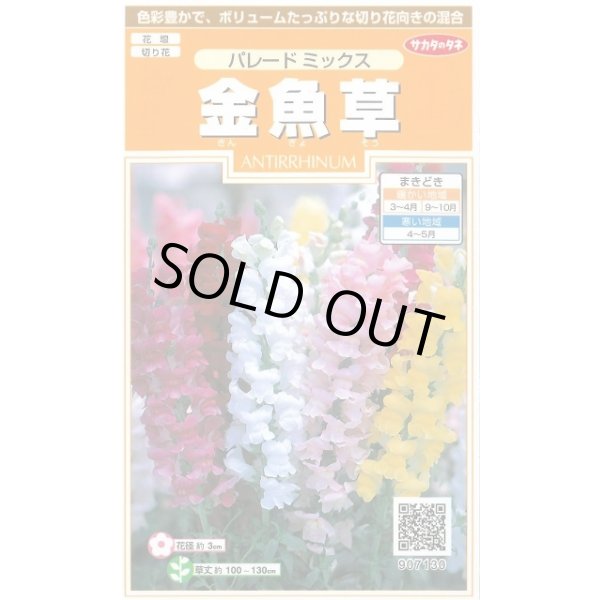 画像1: 送料無料　花の種　金魚草　パレードミックス　約145粒　　(株)サカタのタネ　実咲200（026316） (1)