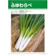 画像4: [ねぎ]　ふゆわらべ　2Lペレット５千粒　タキイ種苗 (4)