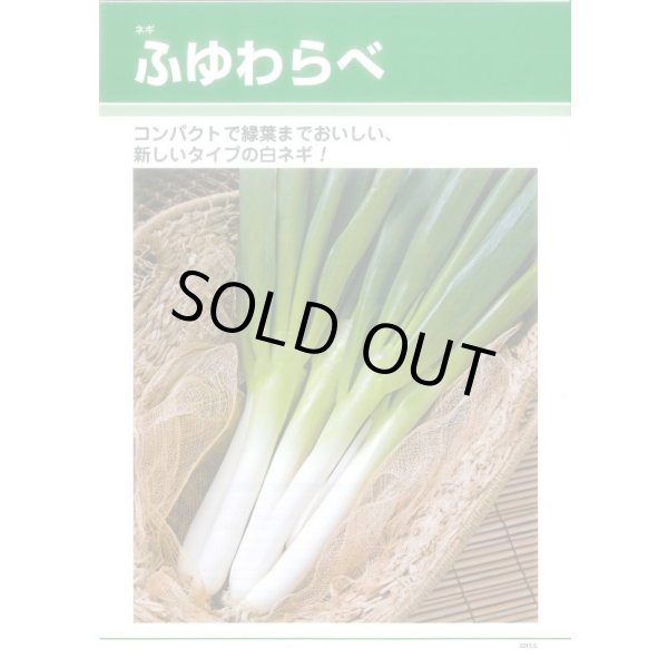 画像4: [ねぎ] ふゆわらべ 4.5ml タキイ種苗 GF (4)