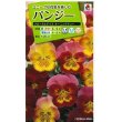 画像1: 花の種　パンジーフローラルデイズモーニングデュー30粒　タキイ種苗（株） (1)