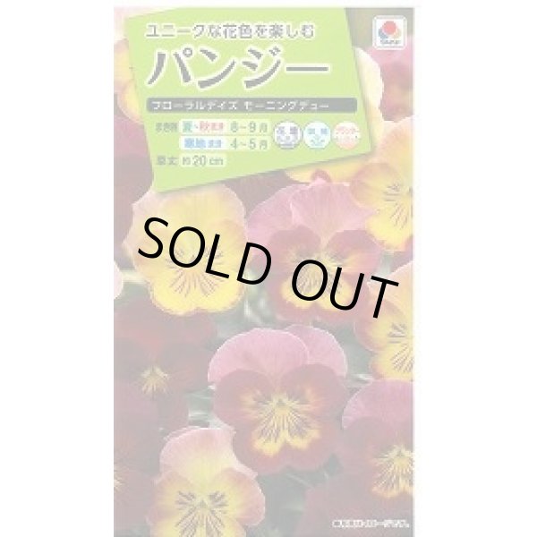 画像1: 花の種　パンジーフローラルデイズモーニングデュー30粒　タキイ種苗（株） (1)