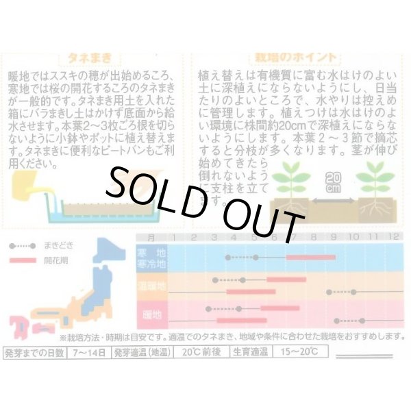 画像2: 送料無料　花の種　金魚草　パレードミックス　約145粒　　(株)サカタのタネ　実咲200（026316） (2)