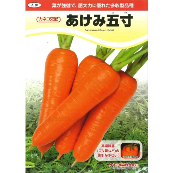 画像2: [人参]　あけみ五寸　1万粒　L　サイズ　ペレット種子　カネコ種苗（株） (2)