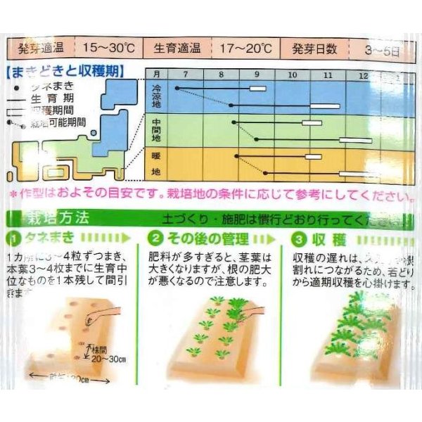 画像2: [大根]　耐病宮重　18ml　タキイ種苗(株)　DF (2)