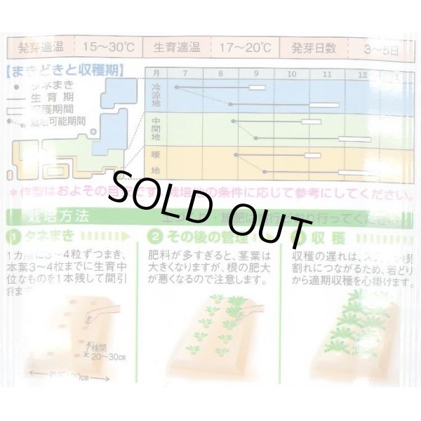 画像2: [大根]　耐病宮重　18ml　　タキイ種苗（株）　DF　 (2)