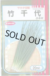 画像: 送料無料　[ねぎ]　竹千代　20ml　（株）サカタのタネ
