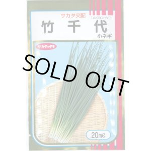 画像: 送料無料　[ねぎ]　竹千代　20ml　（株）サカタのタネ