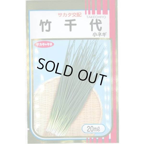 画像1: [ねぎ] 竹千代 20ml （株）サカタのタネ (1)