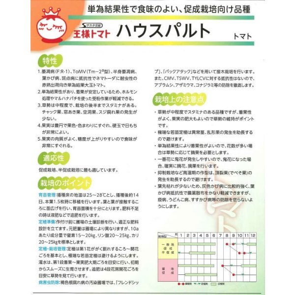 画像3: 送料無料 [トマト/大玉トマト] ハウスパルト 1000粒（10%増量） (株)サカタのタネ (3)