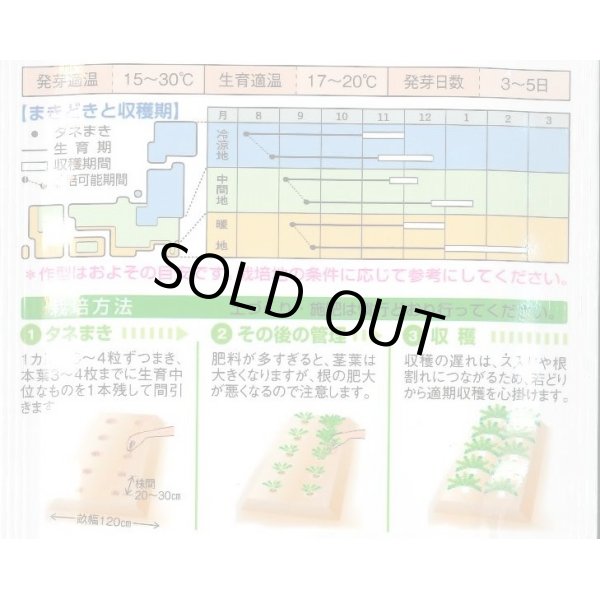 画像2: [大根]　おふくろ　16ml 　　タキイ種苗（株）　DF　 (2)