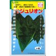 画像1: [ほうれんそう]　ジュリオン　40ｍｌ　トキタ種苗（株） (1)