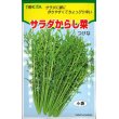 画像1: [葉物]　サラダからし菜　12ｍｌ　トキタ種苗（株） (1)