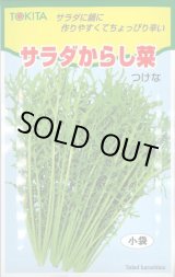 画像: 送料無料　[葉物]　サラダからし菜　12ml　トキタ種苗(株)