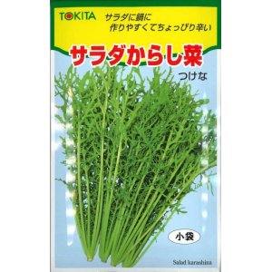 画像: [葉物]　サラダからし菜　12ｍｌ　トキタ種苗（株）