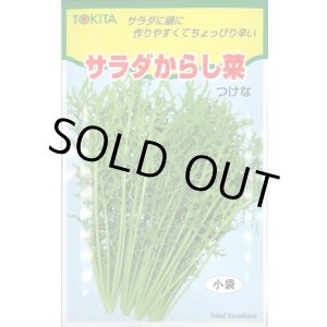 画像: 送料無料　[葉物]　サラダからし菜　12ml　トキタ種苗(株)