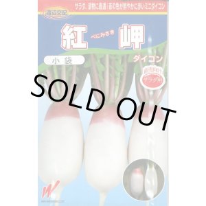 画像: 送料無料　[大根]　紅岬　3ml　渡辺交配