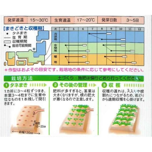 画像2: [大根]　辛之助　5ml　タキイ種苗（株）　RF　 (2)