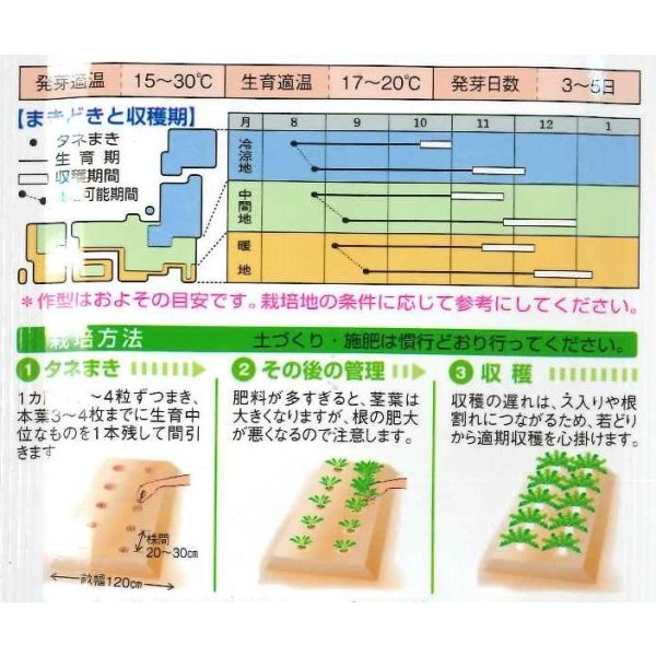 画像2: 送料無料　[大根]　耐病干し理想　16ml　タキイ種苗(株)　DF (2)