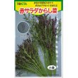 画像1: [葉物]　赤サラダからし菜　10ml　トキタ種苗（株） (1)