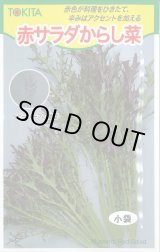 画像: 送料無料　[葉物]　赤サラダからし菜　10ml　トキタ種苗(株)