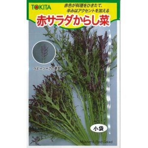 画像: [葉物]　赤サラダからし菜　10ml　トキタ種苗（株）