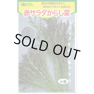 画像: 送料無料　[葉物]　赤サラダからし菜　10ml　トキタ種苗(株)