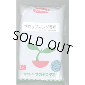 画像: [いんげん]　プロップキング　1L　(株)サカタのタネ