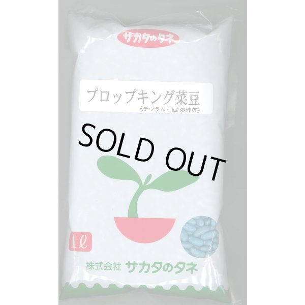 画像1: [いんげん]　プロップキング　1L　(株)サカタのタネ (1)
