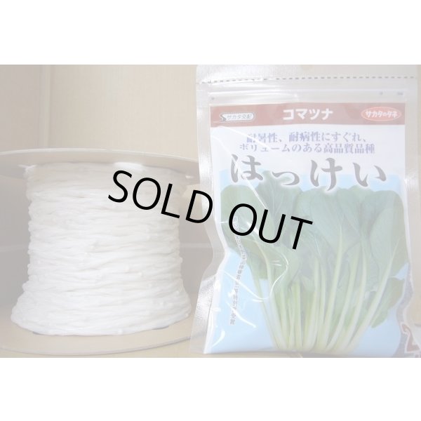 画像1: [シーダー種子]　小松菜　はっけい　1粒×5cm間隔 (1)