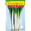 画像1: [ねぎ]　東京夏黒２号　20ml　トキタ種苗（株） (1)