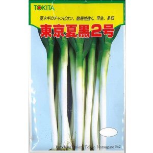 画像: 送料無料　[ねぎ]　東京夏黒2号　20ml　トキタ種苗(株)