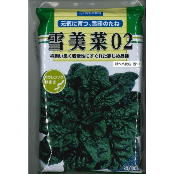 画像1: [ほうれんそう]　雪美菜02　3万粒（種子サイズ：L）　雪印種苗(株) (1)