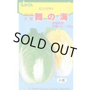 画像: 送料無料　[白菜]　舞の海　2ml　トキタ種苗(株)