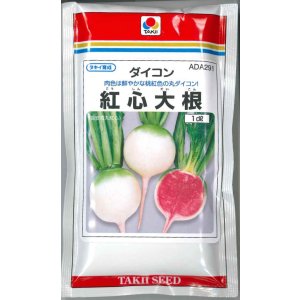 画像: 送料無料　[大根]　長安青丸　紅心大根　1dl　タキイ種苗(株)
