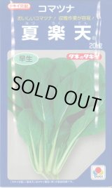 画像: [小松菜] 夏楽天 20ml タキイ種苗(株)