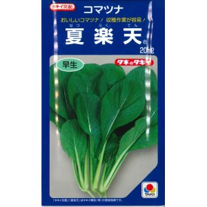 画像: [小松菜]　夏楽天　20ml　タキイ種苗（株）