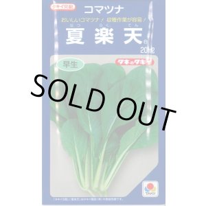 画像: [小松菜] 夏楽天 20ml タキイ種苗(株)