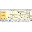 画像4: [人参]　バイオレットハーモニー　1000粒　丸種（株） (4)