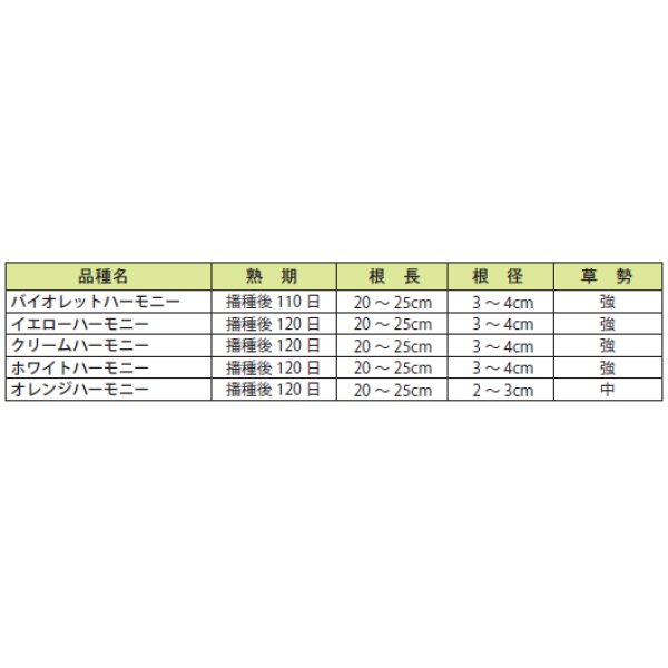 画像3: [人参]　オレンジハーモニー　1000粒　　丸種（株） (3)