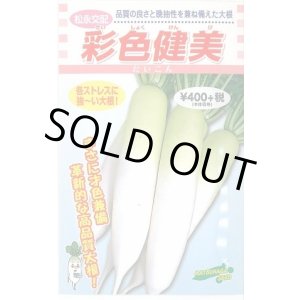 画像: 送料無料　[大根]　彩色健美　3ml　松永種苗(株)