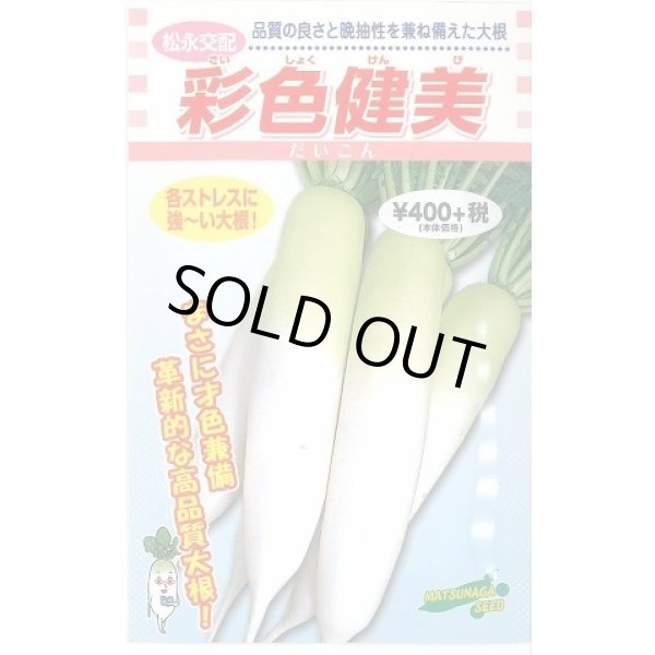 画像1: 送料無料　[大根]　彩色健美　3ml　松永種苗(株) (1)