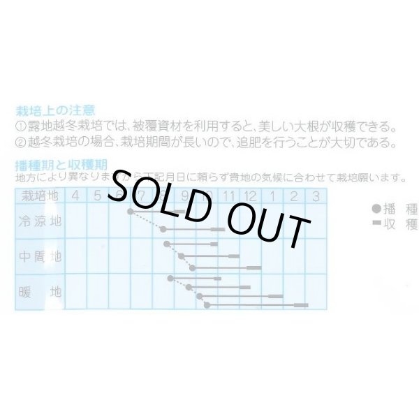 画像2: [大根]　冬職人　10ml  （株）タカヤマシード (2)