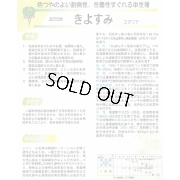 画像3: [シーダー種子]　小松菜　きよすみ　1粒×5cm間隔 (3)