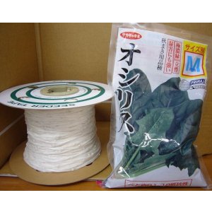 画像: [シーダー種子]　ほうれんそう　オシリス　1粒×5cm間隔