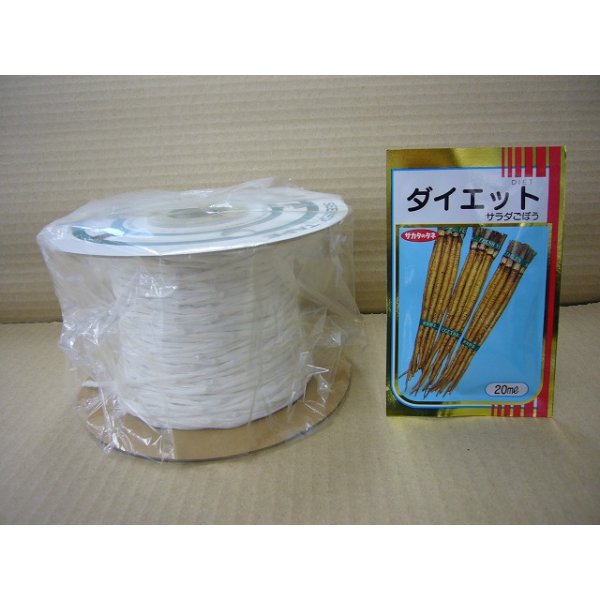 画像1: [シーダー種子]　ごぼう　ダイエット　1粒×5cm間隔 (1)