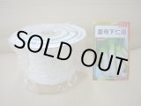 画像: [シーダー種子]　ネギ　雷帝下仁田　1粒×10cm間隔